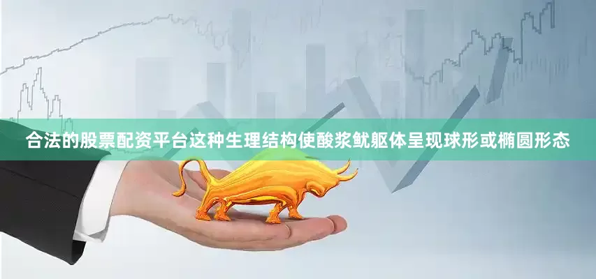 合法的股票配资平台这种生理结构使酸浆鱿躯体呈现球形或椭圆形态